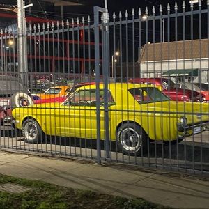 Meet your Posher, Brandon